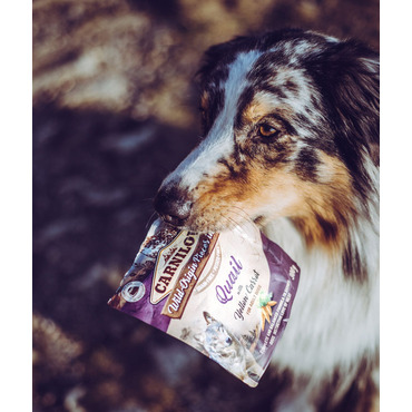 Carnilove Quail With Yellow Carrot for Adult Dogs (Wet Pouches) 300g