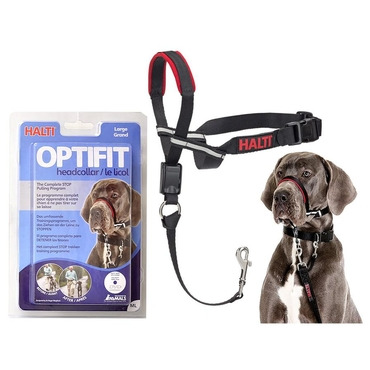 Company of Animals Oftifit Head Collar L