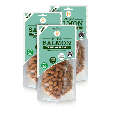 Pure Salmon Training Treats 85g